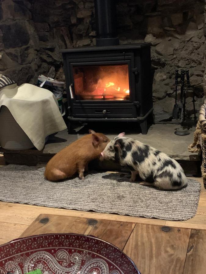 Cwtch Farm Bed & Breakfast Ystalyfera Buitenkant foto